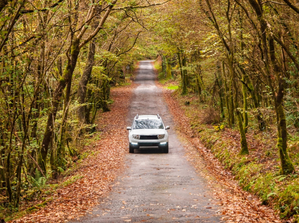 5 Defensive Driving Tips to Reduce Accidents & Save Lives, Time and Money Townsend Insurance