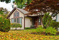 Home Insurance - Fall Box Home Insurance