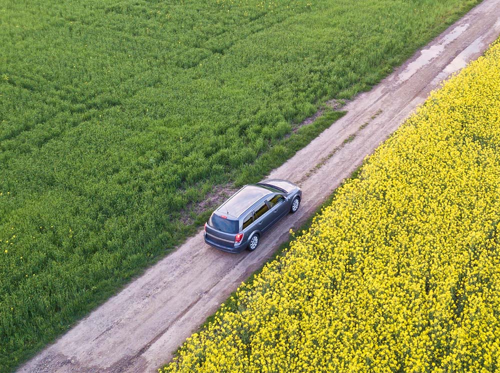 townsend-banner-spring-auto