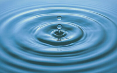 The Safety Ripple Effect: How the Hanson-Milone Act is Shaping More Than Just Boating